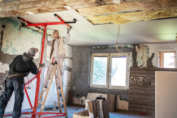 Best Insulation Installation Services in Vassar, MI